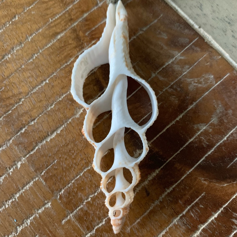 Shell Statement Necklace - image 2